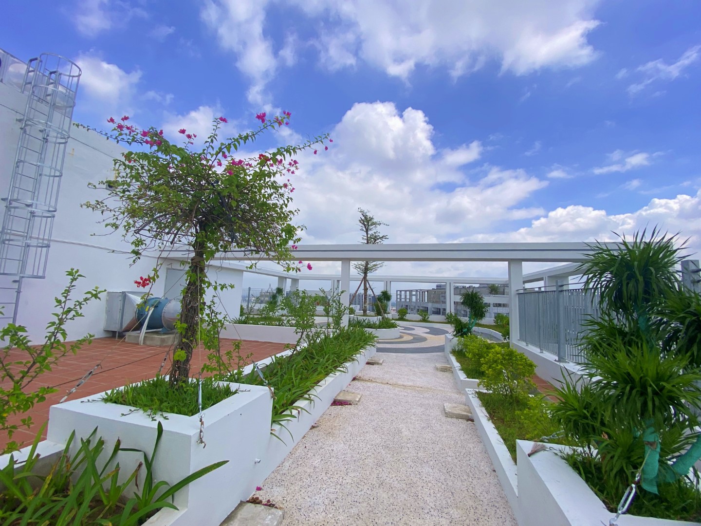 [Truyền h&igrave;nh H&agrave; Nội - H1] - Sống xanh nơi đ&ocirc; thị c&ugrave;ng Feliz Homes